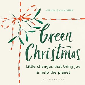 Green Christmas: Little changes that bring joy and help the planet by Eilidh Gallagher