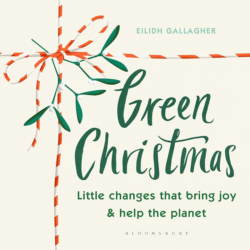 Green Christmas: Little changes that bring joy and help the planet by Eilidh Gallagher