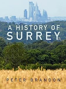 A History of Surrey by Peter Brandon