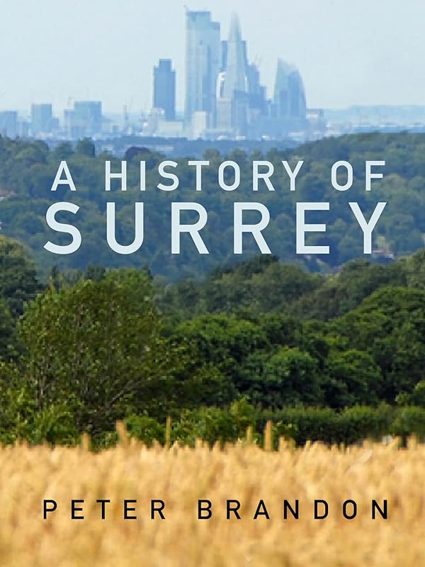 A History of Surrey by Peter Brandon