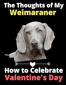 The Thoughts of My Weimaraner: How to Celebrate Valentine's Day
