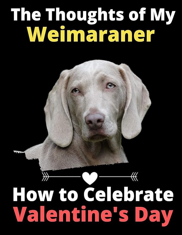 The Thoughts of My Weimaraner: How to Celebrate Valentine's Day by Brightview Activity Books