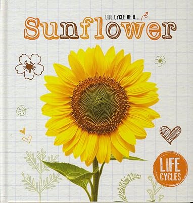 Life Cycle of a Sunflower (Life Cycles)