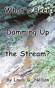 What's Been Damming Up the Stream? by Louis Nelson
