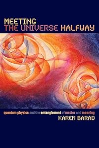 Meeting the Universe Halfway: Quantum Physics and the Entanglement of Matter and Meaning by Karen Barad