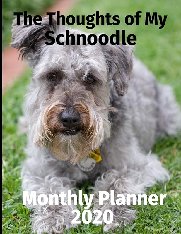 The Thoughts of My Schnoodle: Monthly Planner by Brightview Planners