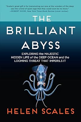 The Brilliant Abyss: Exploring the Majestic Hidden Life of the Deep Ocean, and the Looming Threat That Imperils It