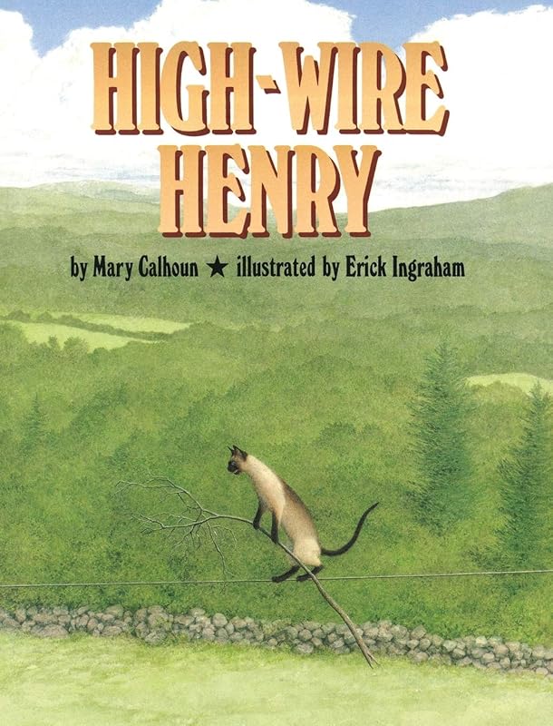 High-Wire Henry by Mary Calhoun