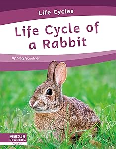 Life Cycle of a Rabbit (Life Cycles)