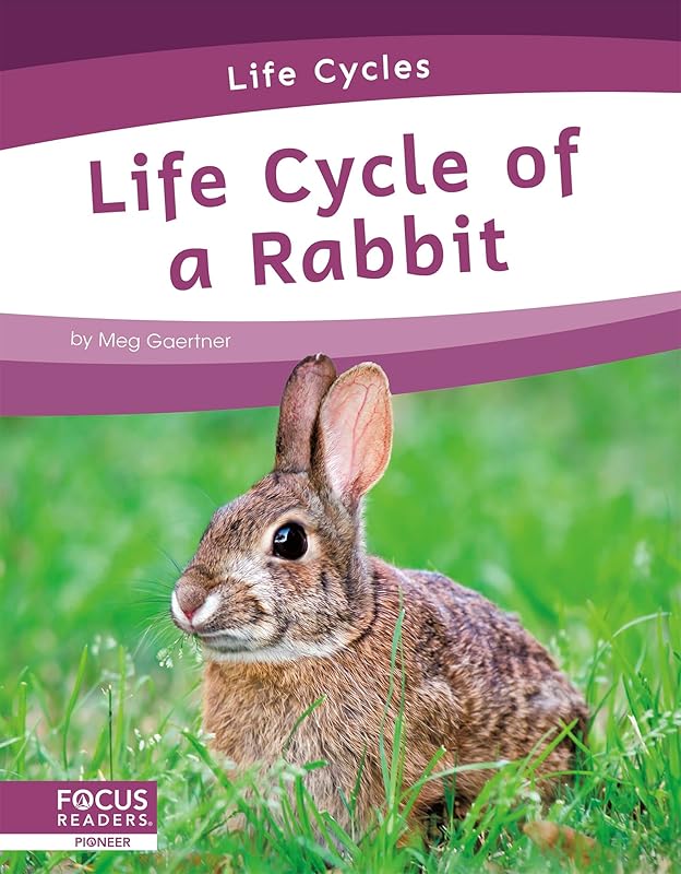 Life Cycle of a Rabbit (Life Cycles) by Meg Gaertner