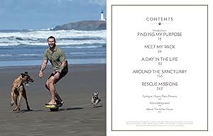 Saved by the Pack: How 50 Dogs Helped Me Find My Purpose by Lee Asher