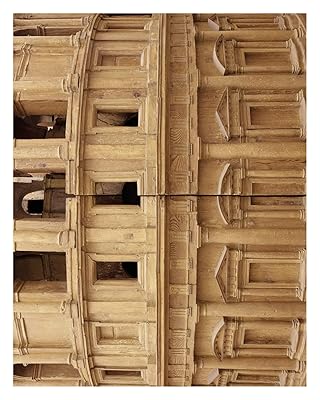 Stefano Graziani: Documents on Raphael