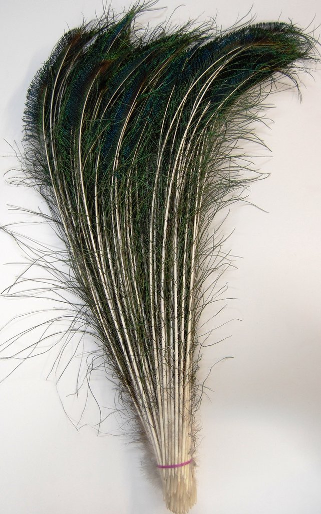

50 Pcs Peacock Swords Natural Feathers 20"-25"