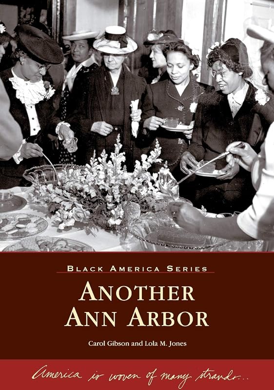 Another Ann Arbor (MI) (Black America) by Carol  Gibson