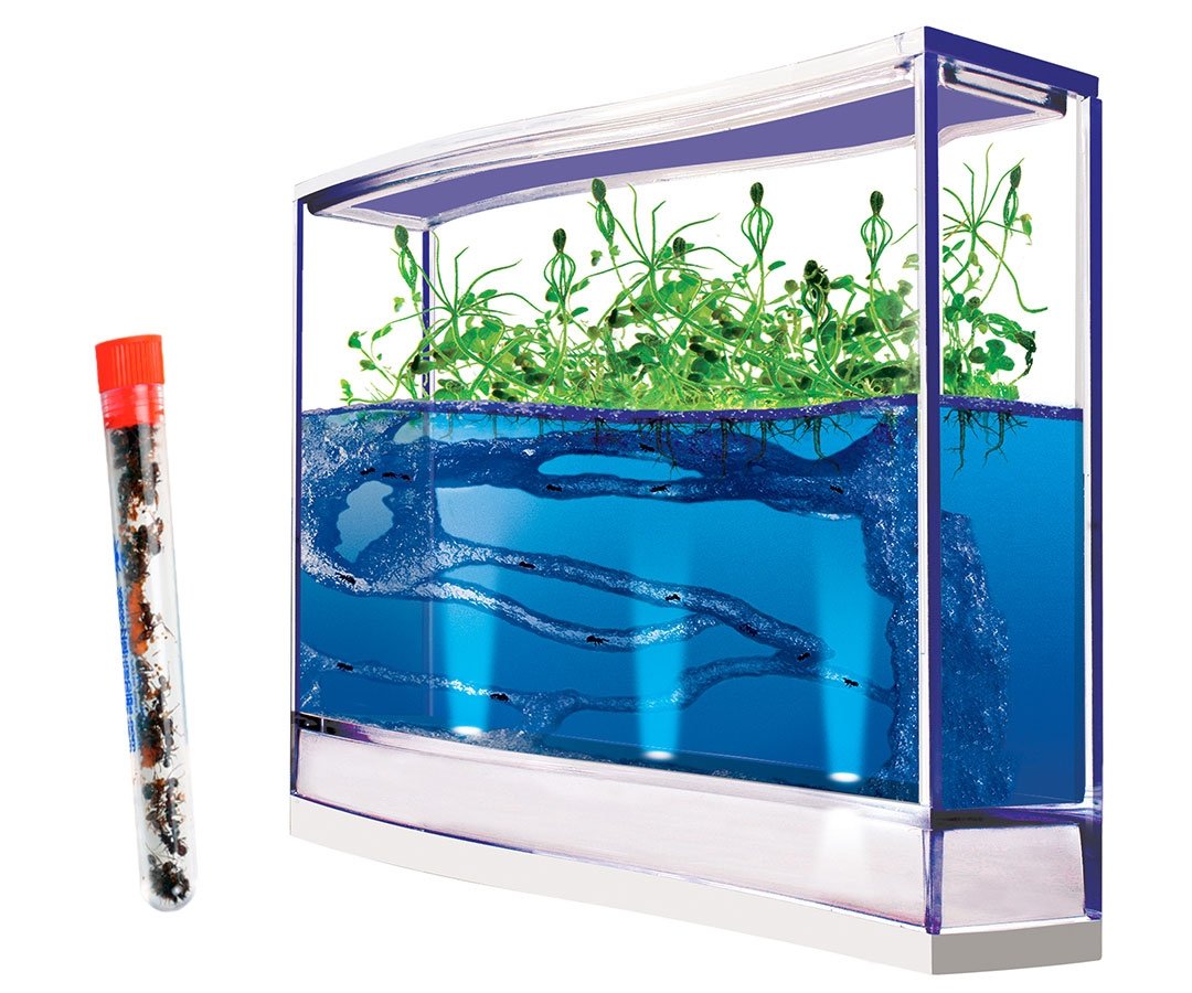

Live Giant Lighted Ecosystem Ant Habitat Shipped with 25 Live Ants Now (1 Tube of Ants)