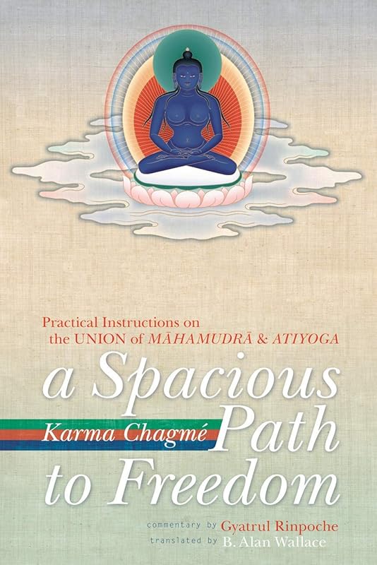 A Spacious Path to Freedom: Practical Instructions on the Union of Mahamudra and Atiyoga by Karma Chagme