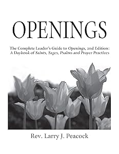 Openings Leader Guide 2/E by Rev. Larry J. Peacock