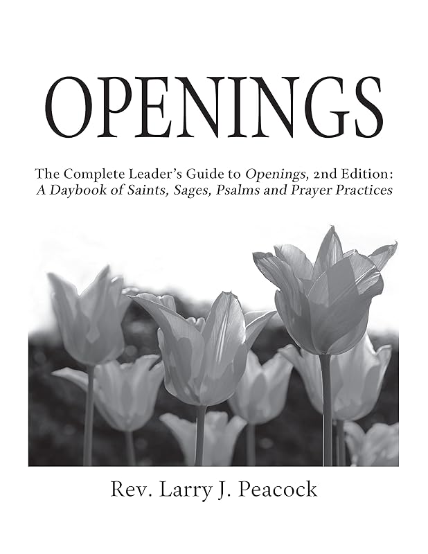 Openings Leader Guide 2/E by Rev. Larry J. Peacock