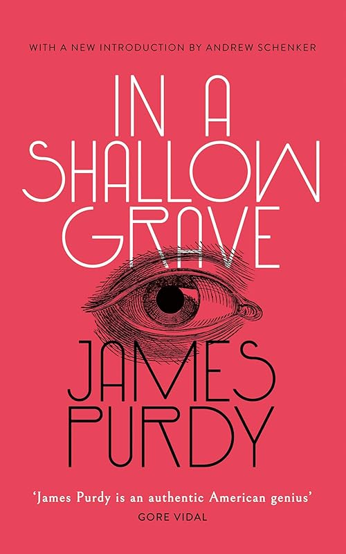In a Shallow Grave by James Purdy