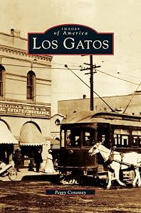 Los Gatos by Peggy Conaway