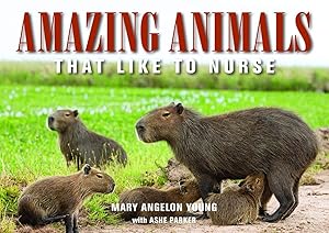 Amazing Animals: That Like to Nurse (Family and World Health) by Mary Angelon Young