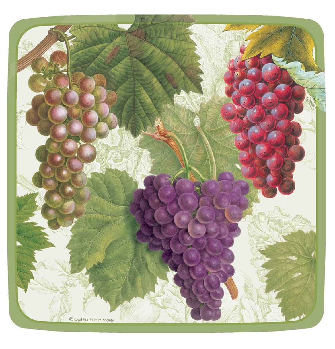 

Entertaining with Caspari Arbor Paper Salad/Dessert Plates, Pack of 8