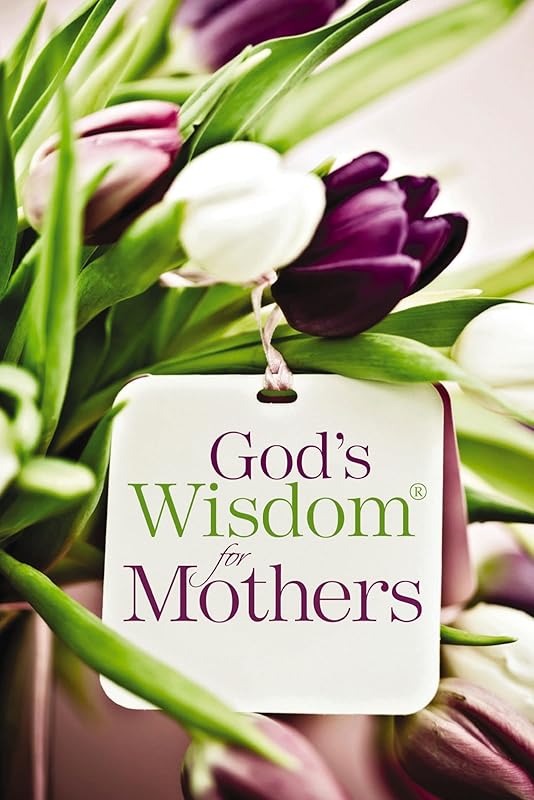 God's Wisdom for Mothers: Timeless Guidance from the Bible by Jack Countryman