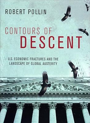 Contours of Descent: U.S. Economic Fractures and the Landscape of Global Austerity