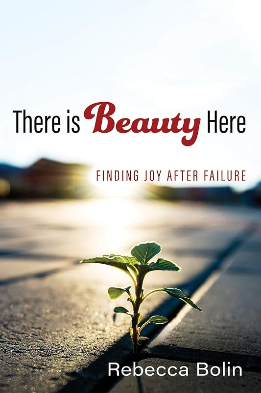 There is Beauty Here: Finding Joy After Failure by Rebecca Bolin