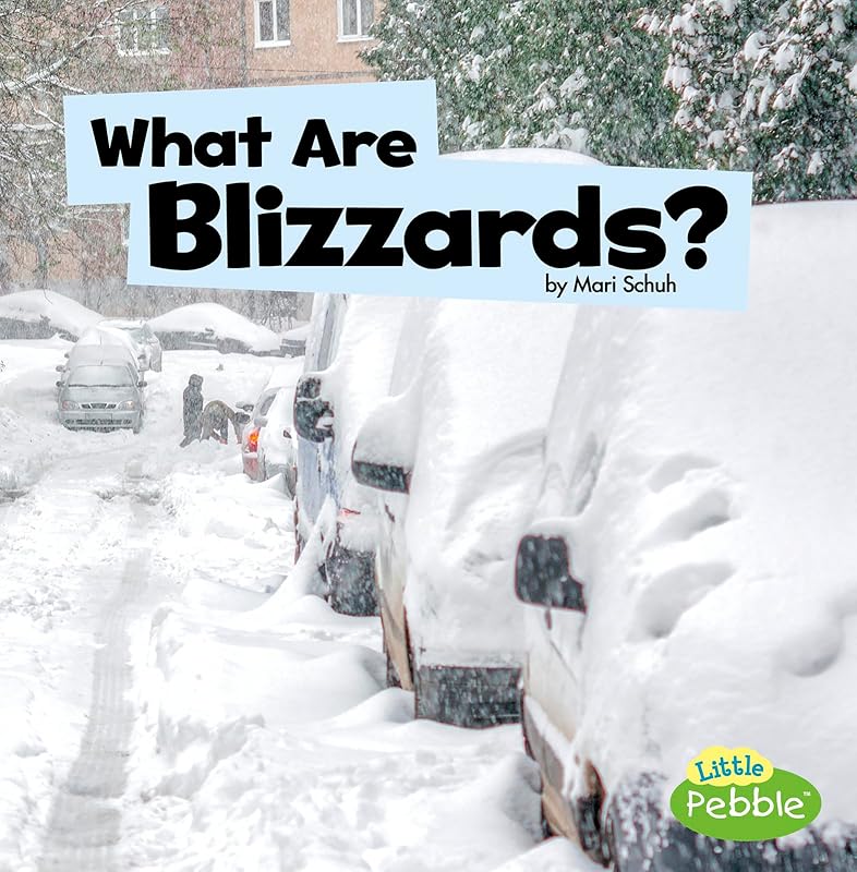What Are Blizzards? (Wicked Weather) (Little Pebble) by Mari Schuh