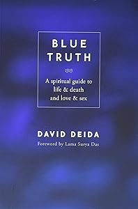 Blue Truth: A Spiritual Guide to Life & Death and Love & Sex by David Deida
