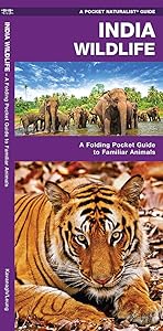 India Wildlife: A Folding Pocket Guide to Familiar Animals (Wildlife and Nature Identification)