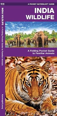 India Wildlife: A Folding Pocket Guide to Familiar Animals (Wildlife and Nature Identification)