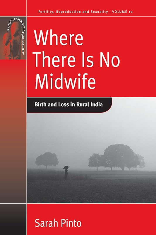 Where There Is No Midwife: Birth and Loss in Rural India (Fertility, Reproduction and Sexuality: Social and Cultural Perspectives, 10) by Sarah Pinto