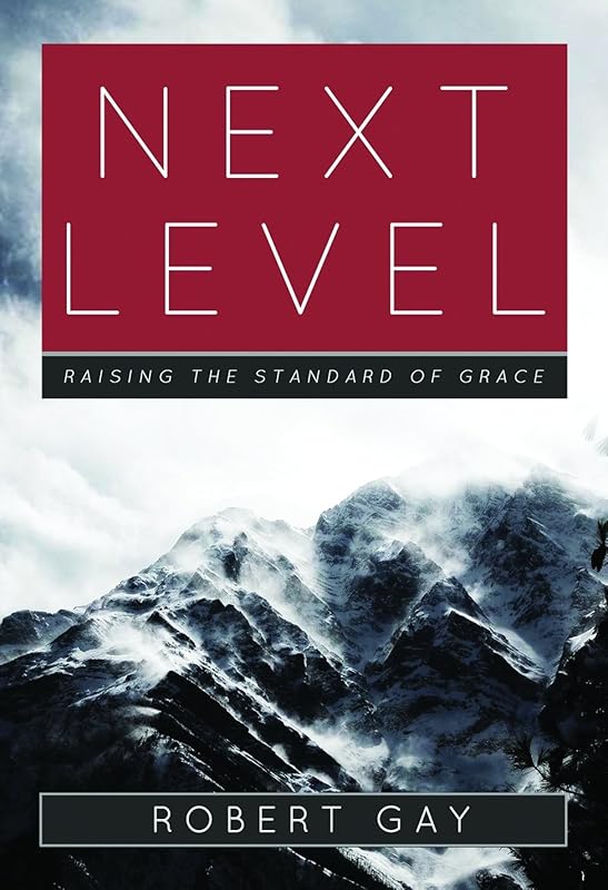 Next Level: Raising The Standard Of Grace by Robert Gay