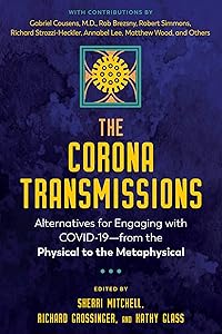 The Corona Transmissions: Alternatives for Engaging with COVID-19—from the Physical to the Metaphysical by Sherri Mitchell
