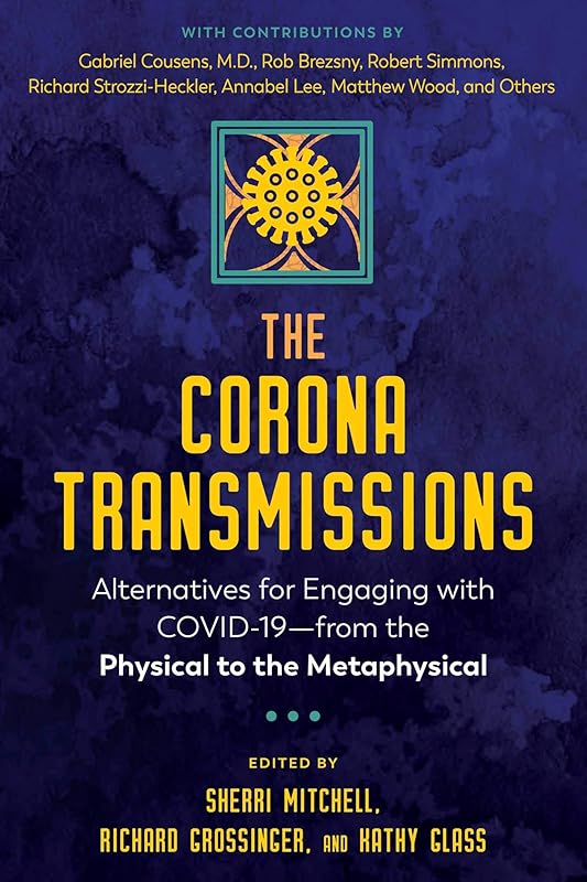 The Corona Transmissions: Alternatives for Engaging with COVID-19—from the Physical to the Metaphysical by Sherri Mitchell