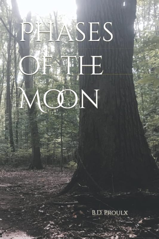 Phases of the Moon by B. D. Proulx