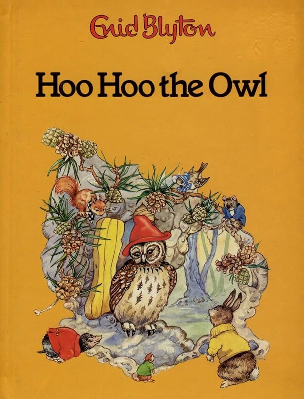 Hoo Hoo The Owl by Enid Blyton