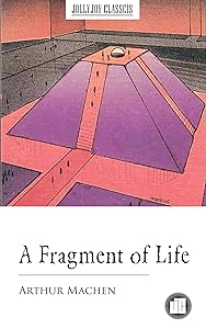 A Fragment of Life