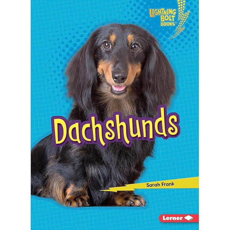 Senses at the Seashore (Shelley Rotner's Early Childhood Library) by Shelley Rotner