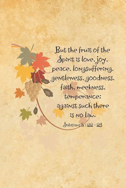 But the fruit of the Spirit is love, joy, peace, longsuffering, gentleness, goodness, faith, meekness, temperance: against such there is no law.--Galatians 5:22-23 by Mickey's Journals