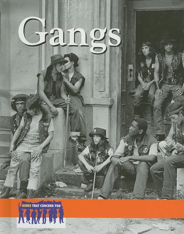 Gangs (Issues That Concern You) by Peggy Daniels
