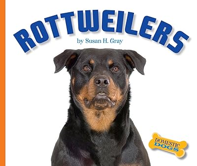 Rottweilers (Domestic Dogs)