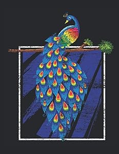 Peacock: Sketching, Doodling and Drawing - Blank Paper