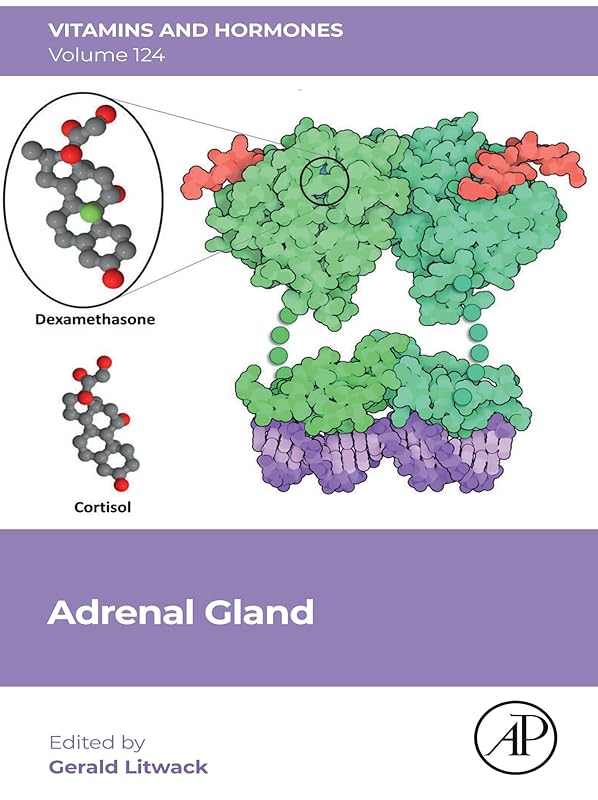 Adrenal Gland (ISSN) by unknown author