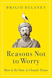 Reasons Not to Worry: How to Be Stoic in Chaotic Times: A Practical Guide to Stoicism for Self-Improvement and Personal Growth by Brigid Delaney