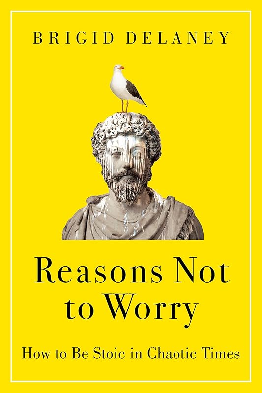 Reasons Not to Worry: How to Be Stoic in Chaotic Times: A Practical Guide to Stoicism for Self-Improvement and Personal Growth by Brigid Delaney