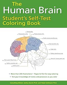 Human Brain Student's Self-Test Coloring Book (Barron's Test Prep) by Joshua Gowin Ph.D.