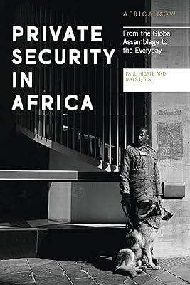 Private Security in Africa: From the Global Assemblage to the Everyday (Africa Now)